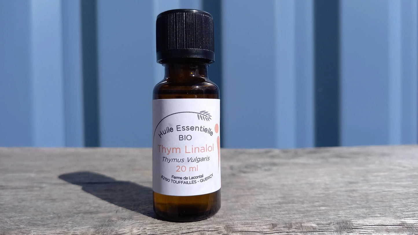 Thym à linalol bio - Huile essentielle - Ferme de Lacontal