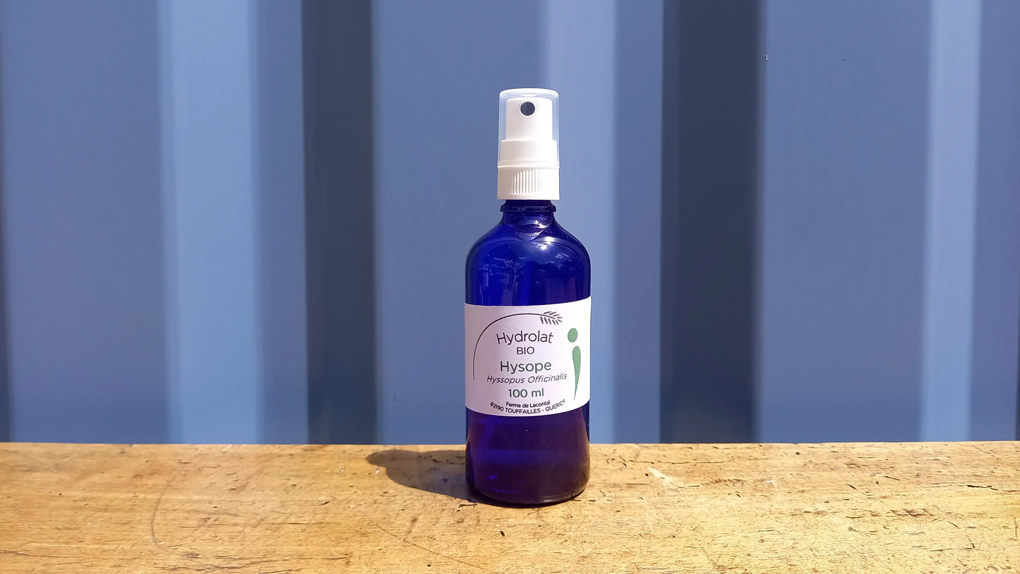 Hysope Officinale bio - Hydrolats - Ferme de Lacontal
