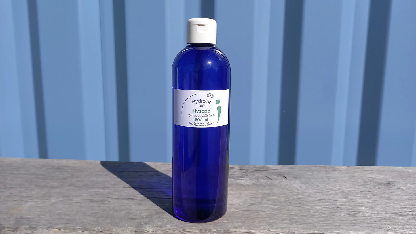 Hysope Officinale bio - Hydrolats - Ferme de Lacontal