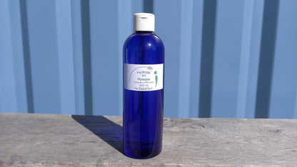 Hysope Officinale bio - Hydrolats - Ferme de Lacontal