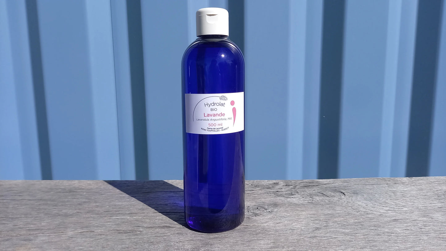 Lavande officinale bio - Hydrolats - Ferme de Lacontal