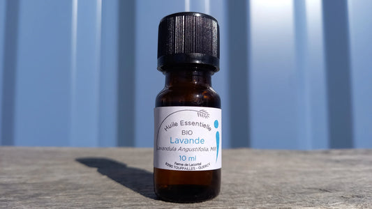 Lavande sélection bio - Huile essentielle - Ferme de Lacontal