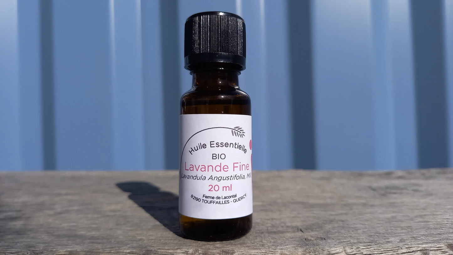 Lavande fine bio - Huile essentielle - Ferme de Lacontal