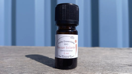 Sauge sclarée bio - Huile essentielle - Ferme de Lacontal