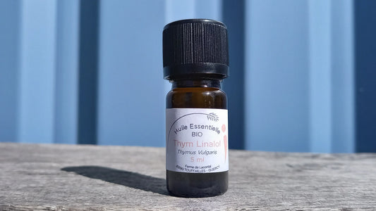 Thym à linalol bio - Huile essentielle - Ferme de Lacontal