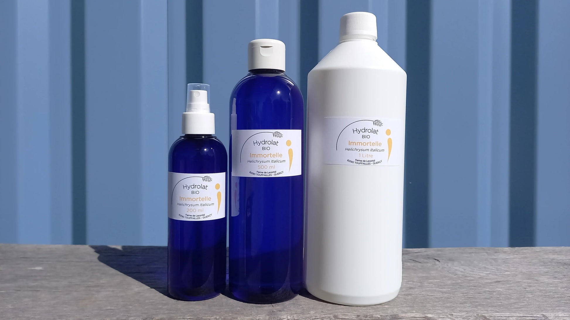Hélichryse Italienne bio - Hydrolats - Ferme de Lacontal