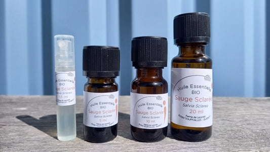 Sauge sclarée bio - Huile essentielle - Ferme de Lacontal