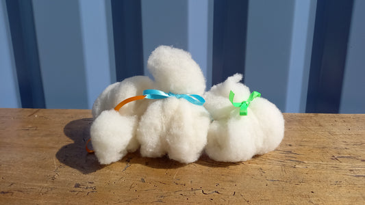 Nuage de laine - Ferme de Lacontal